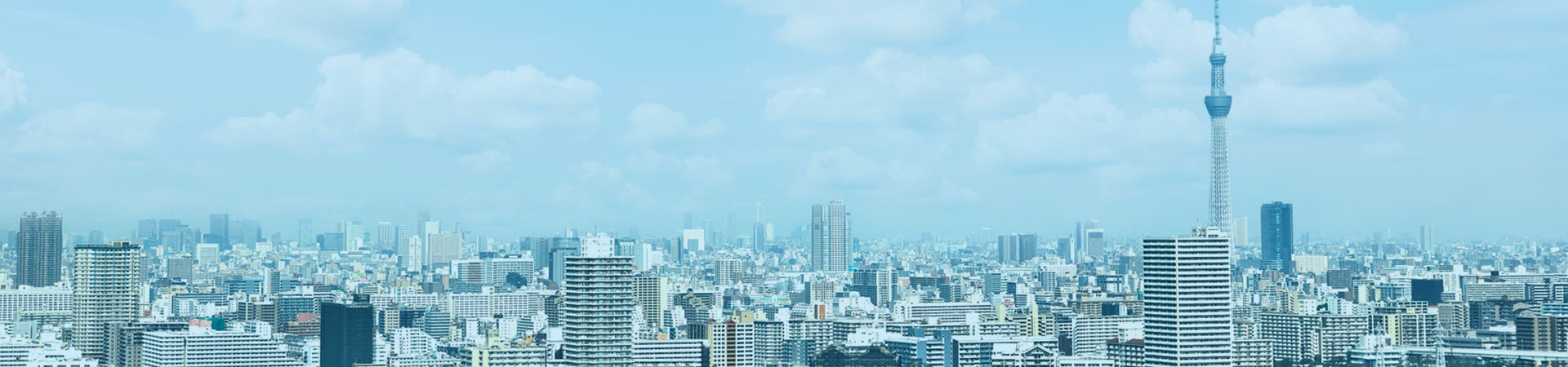 プライバシーポリシー